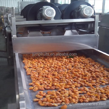 Provided Automatic food fruit vegetable food dehydrator